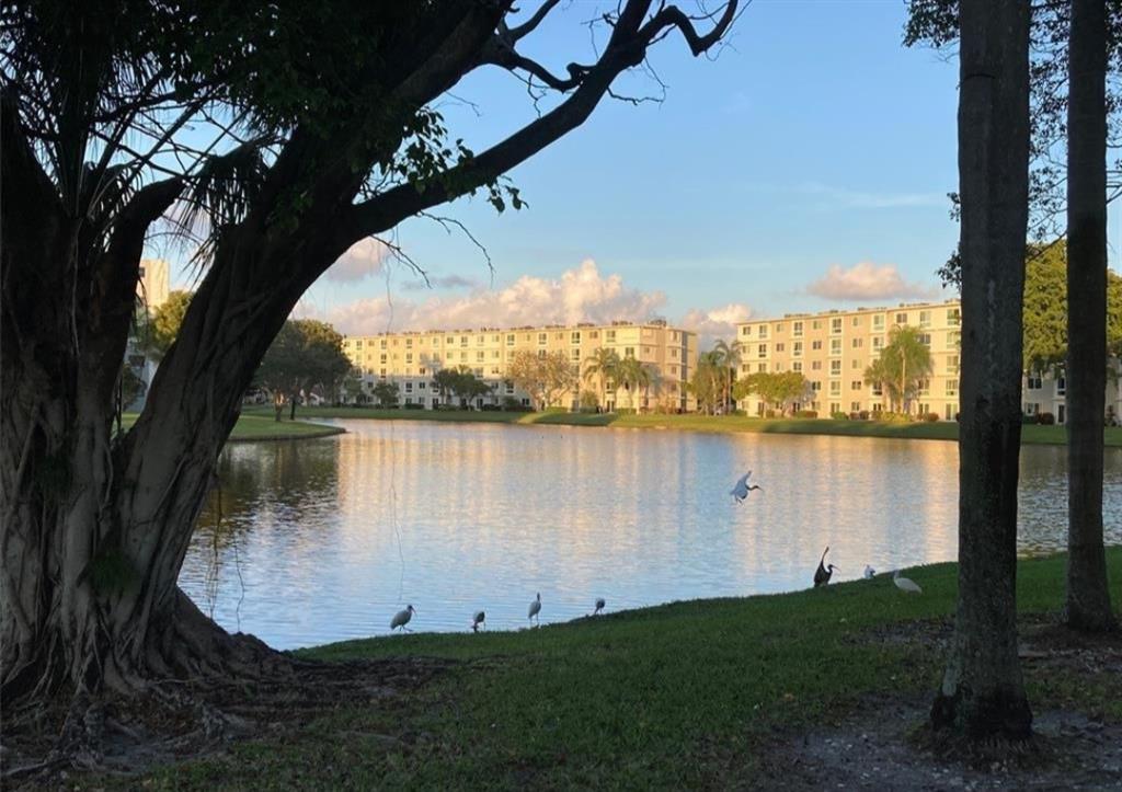 2216 North Cypress Bend Drive, Unit 504 Pompano Beach, FL 33069 - Photo 25 of 33 a view of a lake from a yard