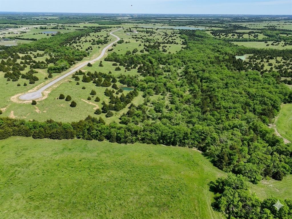 7 Private Road 291 Road Dodd City, TX 75438 - Photo 3 of 3