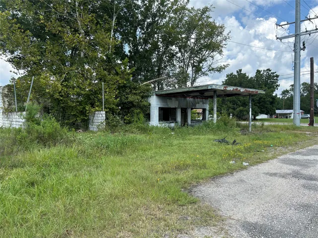 a view of a lush green space