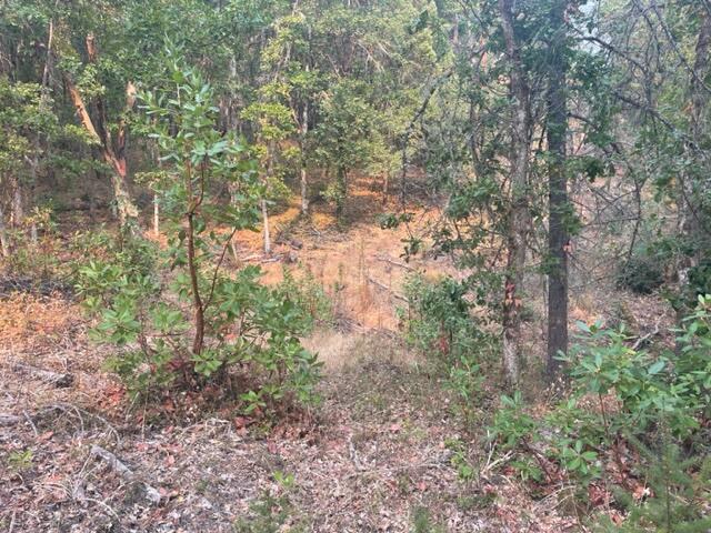2800 Tl Road Grants Pass, OR 97526 - Photo 4 of 6 multiple potential sites to build
