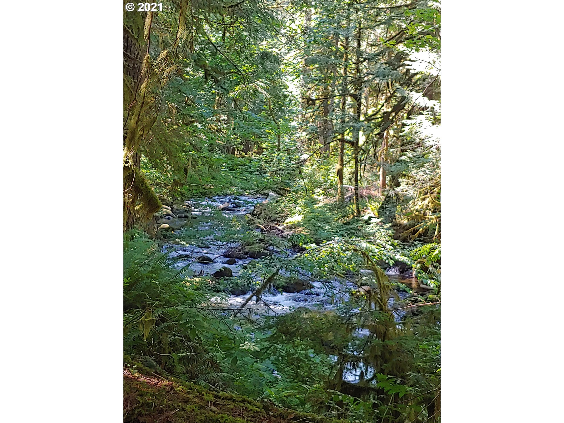 27525 Road 20 Rhododendron, OR 97049 - Photo 5 of 22 a backyard of a house