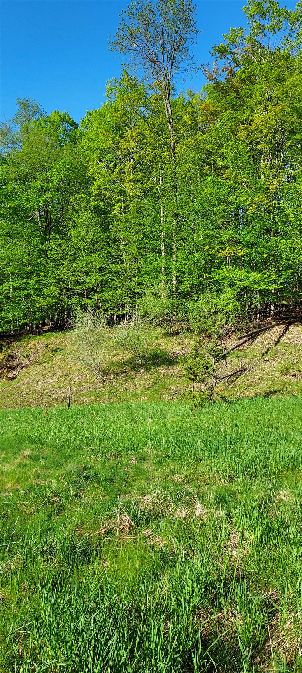 127 Founders Ridge Bellaire, MI 49615 - Photo 2 of 16
