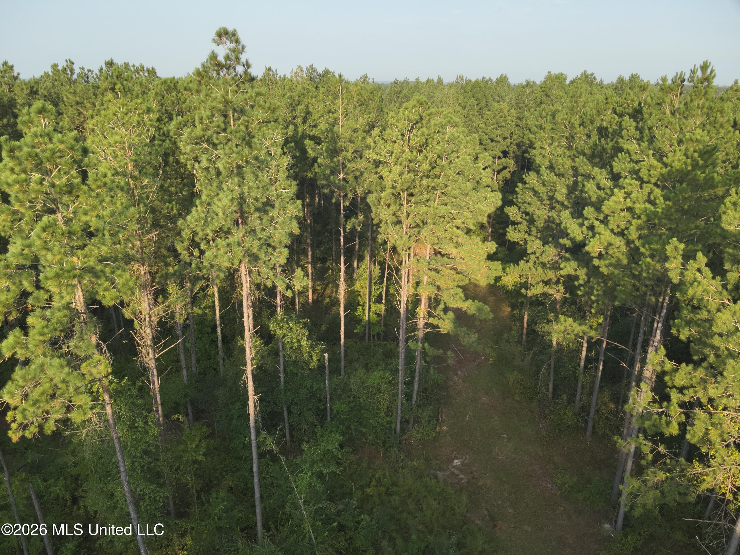 DJI_20260826074708_0012_V