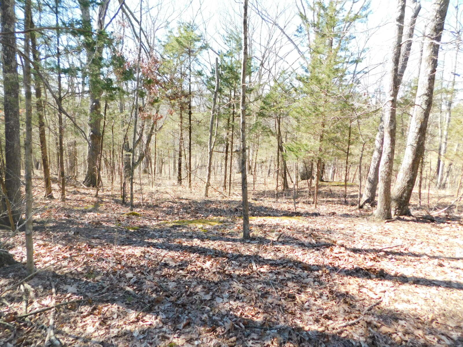 1 Turkey Ridge Road Corinth, KY 41010 - Photo 12 of 38
