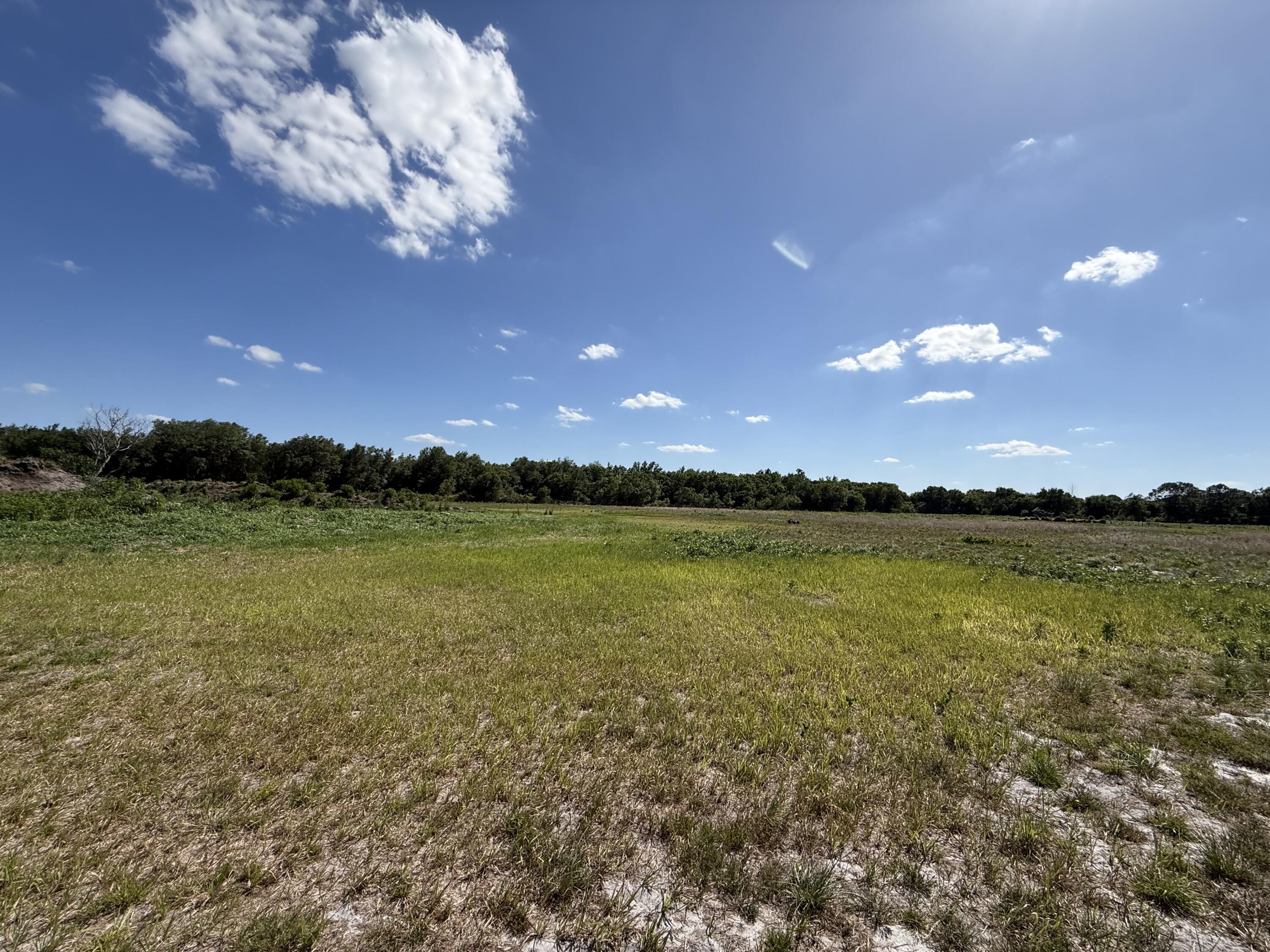 2615 Bluff Hammock Road Lorida, FL 33857 - Photo 15 of 19 IMG_3526