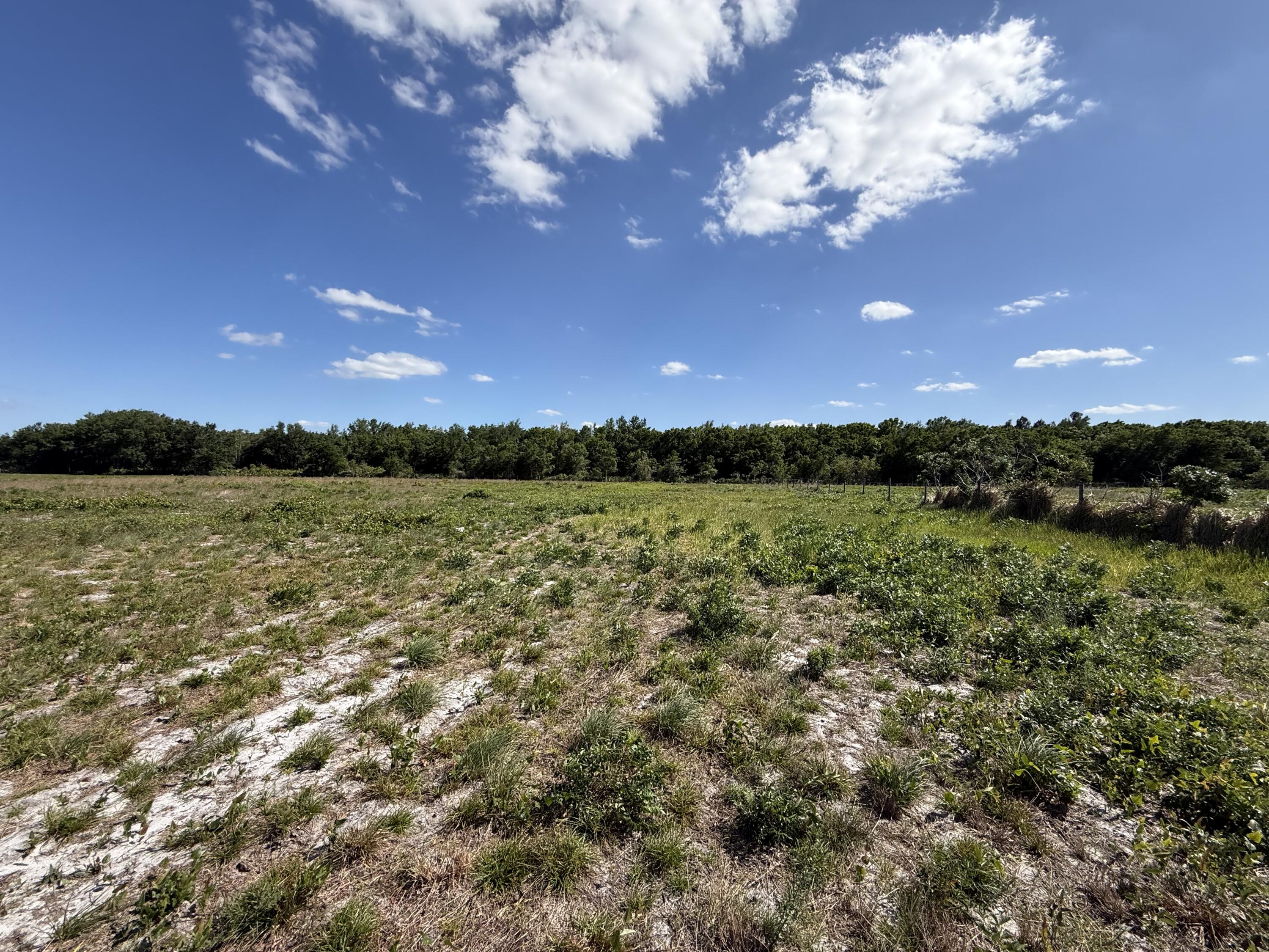 2615 Bluff Hammock Road Lorida, FL 33857 - Photo 16 of 19 IMG_3529