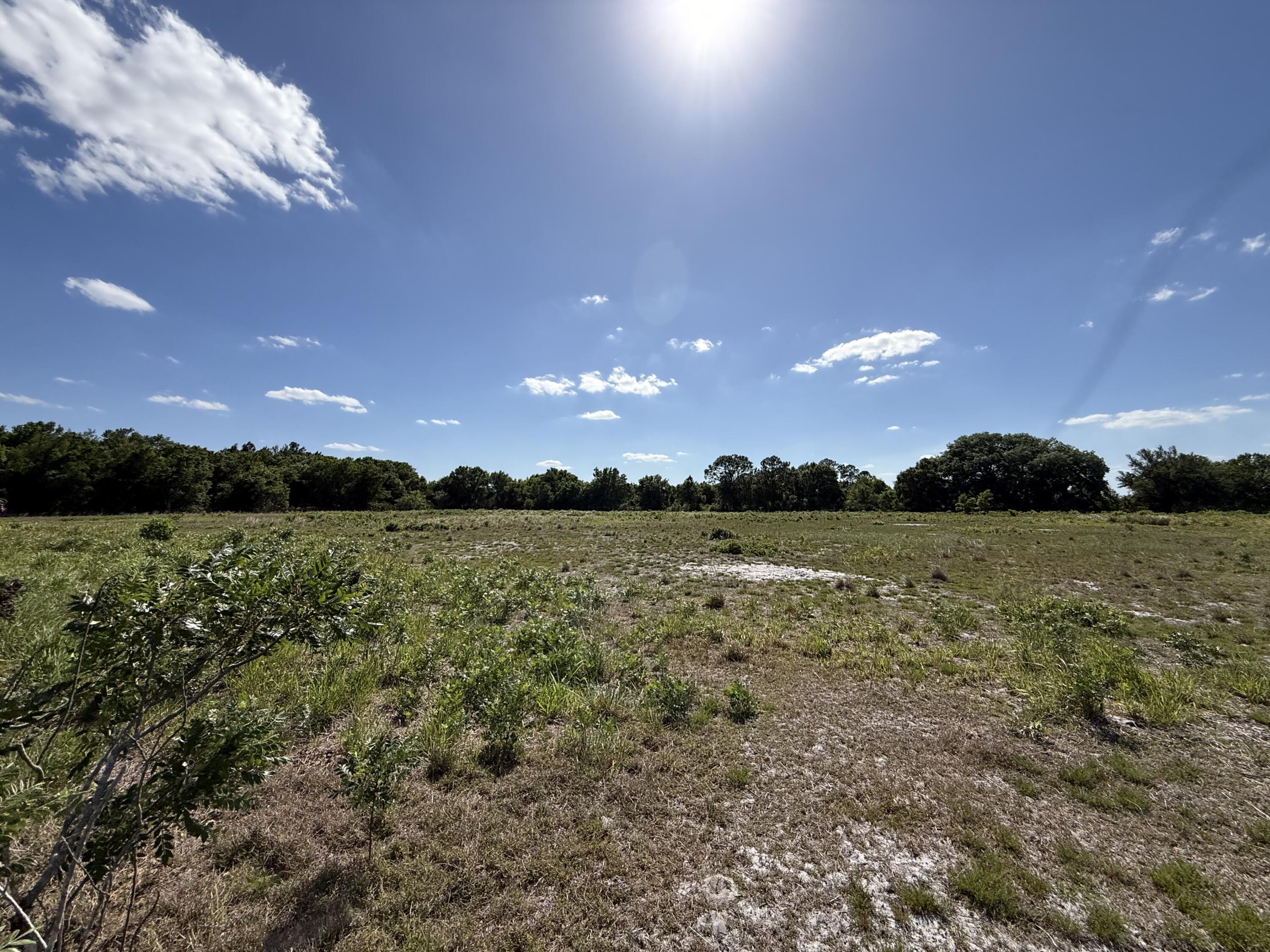 2615 Bluff Hammock Road Lorida, FL 33857 - Photo 17 of 19 IMG_3531
