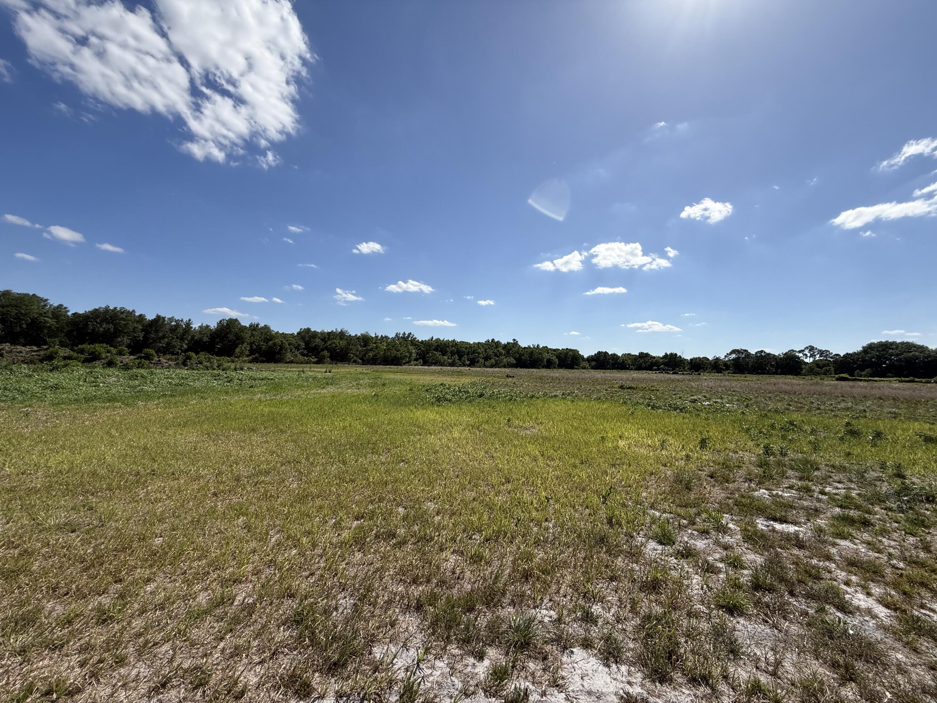 2615 Bluff Hammock Road Lorida, FL 33857 - Photo 18 of 19 IMG_3527