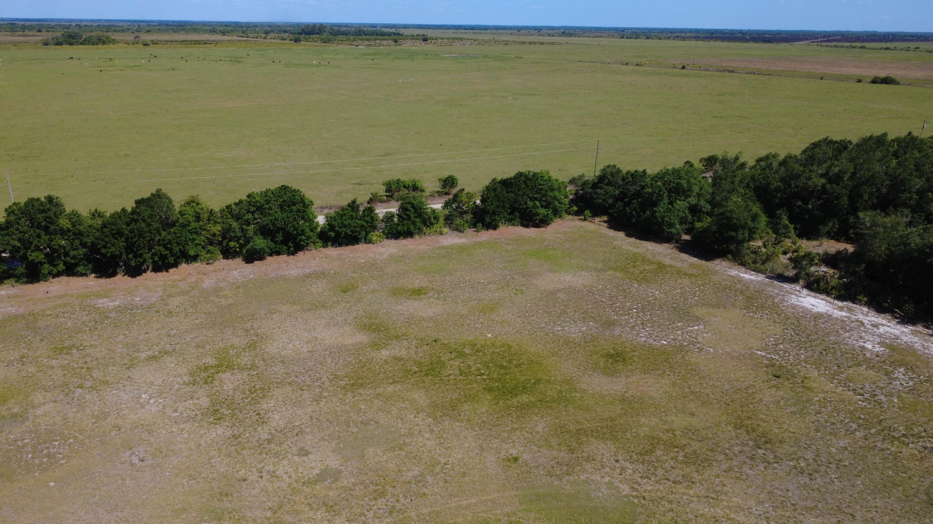 2615 Bluff Hammock Road Lorida, FL 33857 - Photo 8 of 19 dji_fly_20260421_160430_83_1776801892710