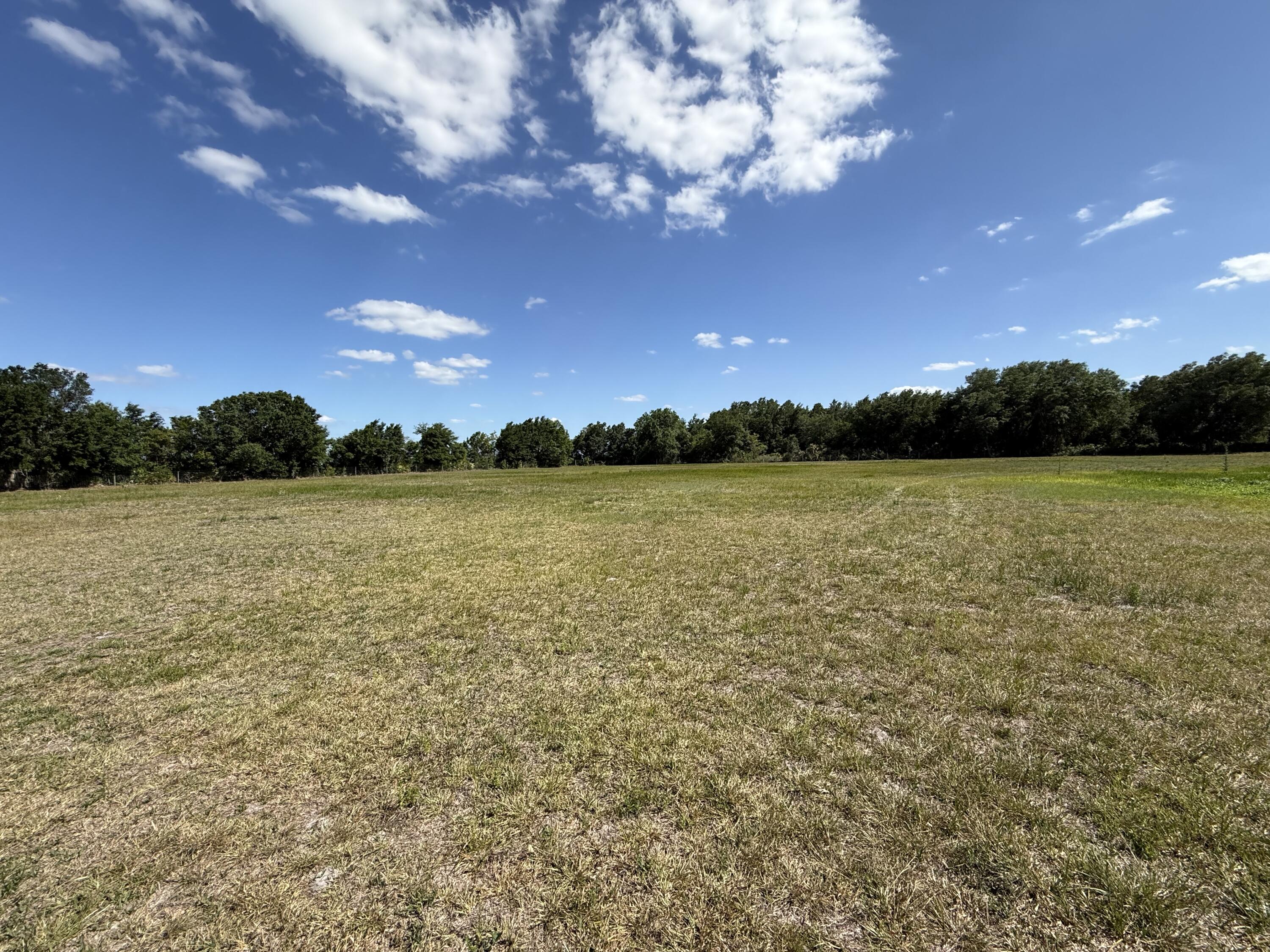 2615 Bluff Hammock Road Lorida, FL 33857 - Photo 9 of 19 IMG_3519