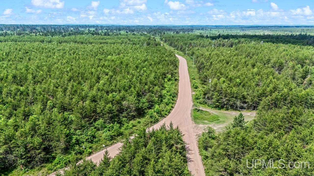 Tbd Bryan Creek Road Ishpeming, MI 49849 - Photo 6 of 16