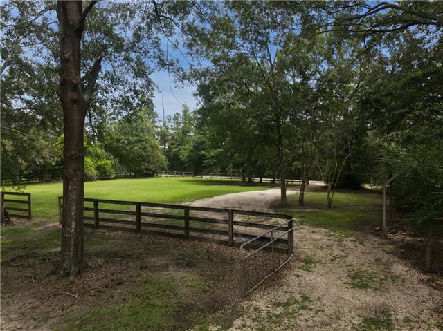 78573 Booth Road Folsom, LA 70437 - Photo 6 of 12 Gallery Image 6