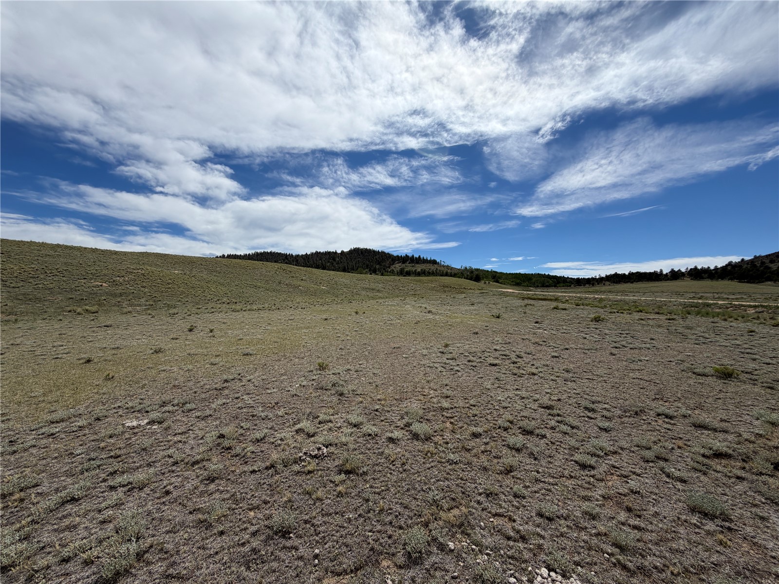 776 Commanche Trail Hartsel, CO 80449 - Photo 23 of 24