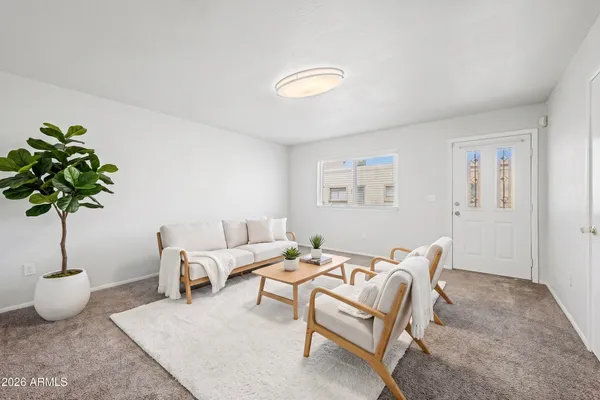 a living room with furniture potted plant and a lamp