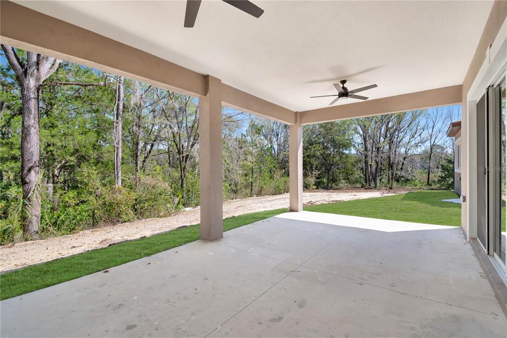 4869 Northwest 101st St Road Ocala, FL 34482 - Photo 35 of 48 Beautiful nature view off lanai