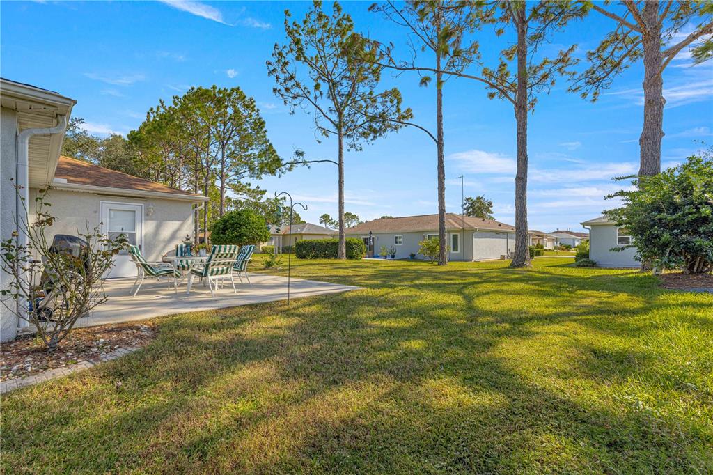 8475 Southeast 137th Loop Summerfield, FL 34491 - Photo 47 of 75 a view of a house with a big yard and palm trees