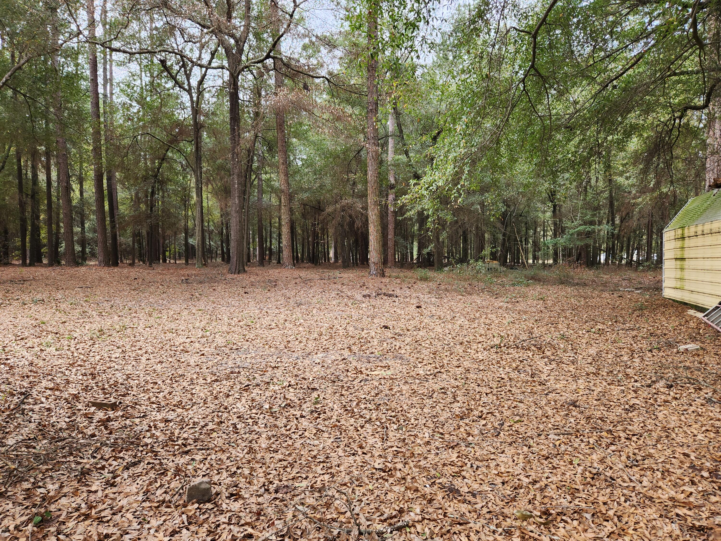 913 Horseshoe Road Augusta, GA 30906 - Photo 22 of 22 20230224_113454
