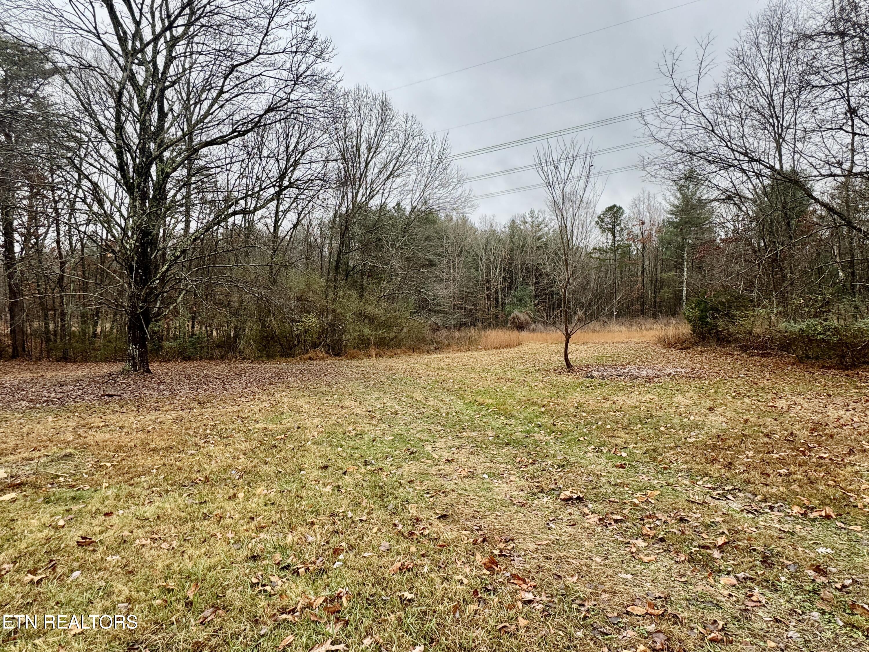 345 Crabtree Hollow Road Ten Mile, TN 37880 - Photo 22 of 25 22