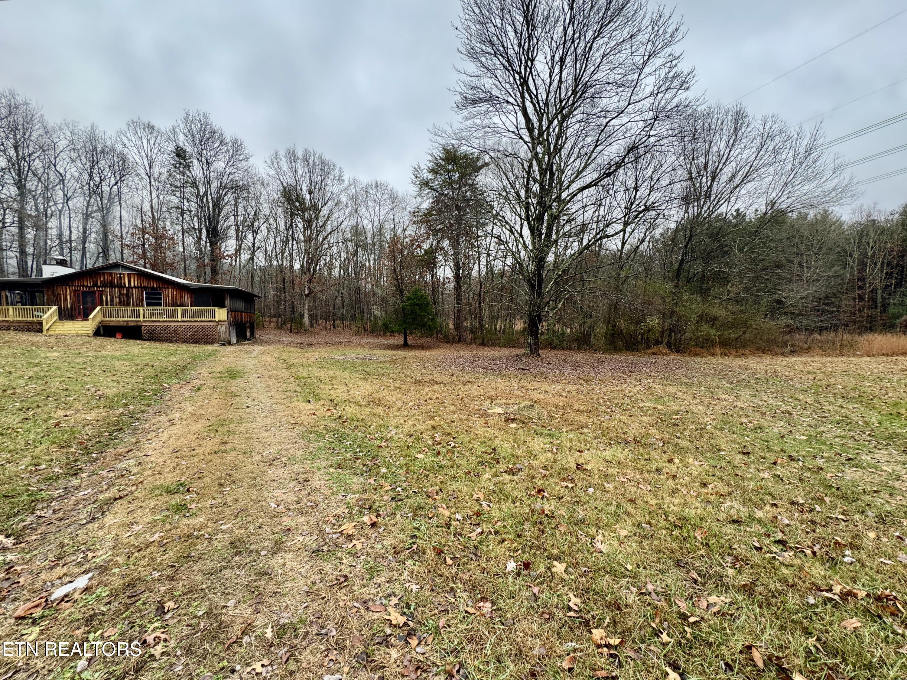 345 Crabtree Hollow Road Ten Mile, TN 37880 - Photo 4 of 25 4