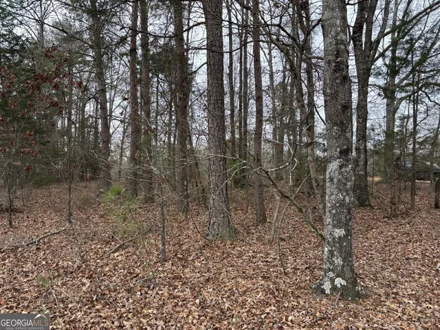 $995,000 | 850 Bethel Church Road Southeast, Silver Creek, GA 30173