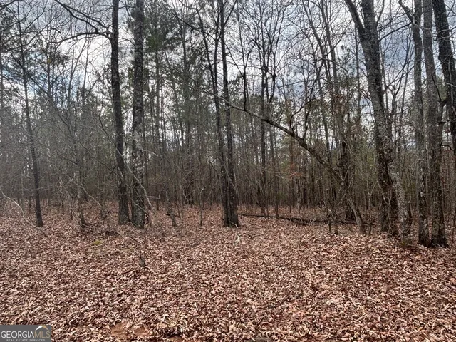 $995,000 | 850 Bethel Church Road Southeast, Silver Creek, GA 30173