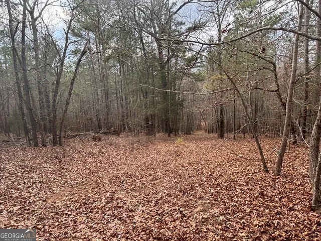 $995,000 | 850 Bethel Church Road Southeast, Silver Creek, GA 30173