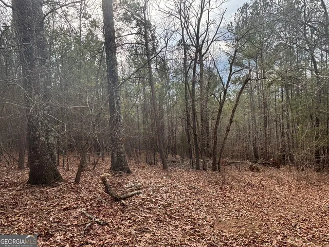 $995,000 | 850 Bethel Church Road Southeast, Silver Creek, GA 30173