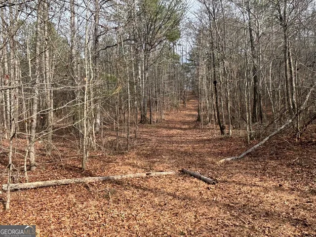 $995,000 | 850 Bethel Church Road Southeast, Silver Creek, GA 30173