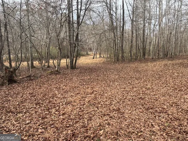 $995,000 | 850 Bethel Church Road Southeast, Silver Creek, GA 30173