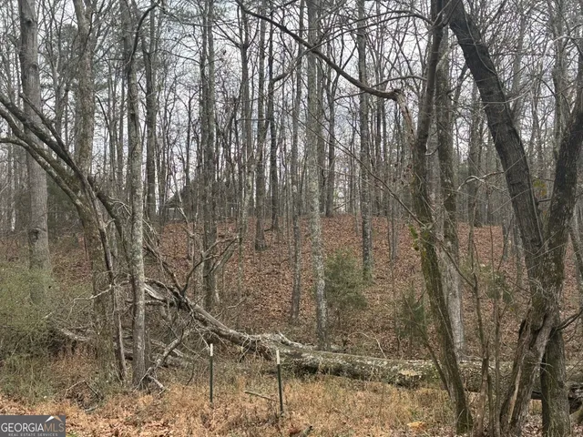 $995,000 | 850 Bethel Church Road Southeast, Silver Creek, GA 30173