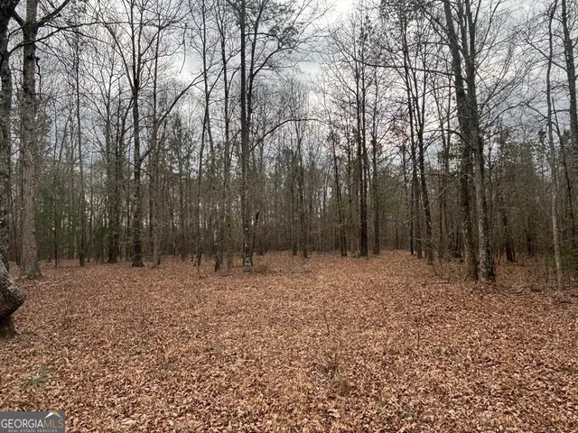 $995,000 | 850 Bethel Church Road Southeast, Silver Creek, GA 30173