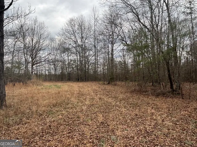 $995,000 | 850 Bethel Church Road Southeast, Silver Creek, GA 30173