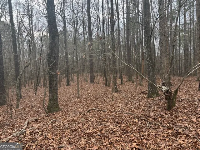 $995,000 | 850 Bethel Church Road Southeast, Silver Creek, GA 30173