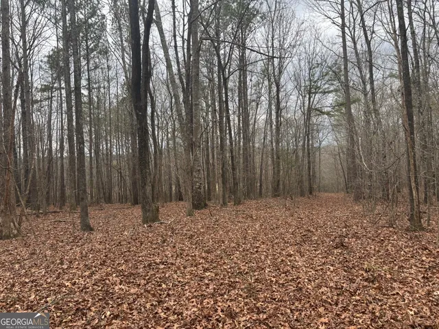 $995,000 | 850 Bethel Church Road Southeast, Silver Creek, GA 30173