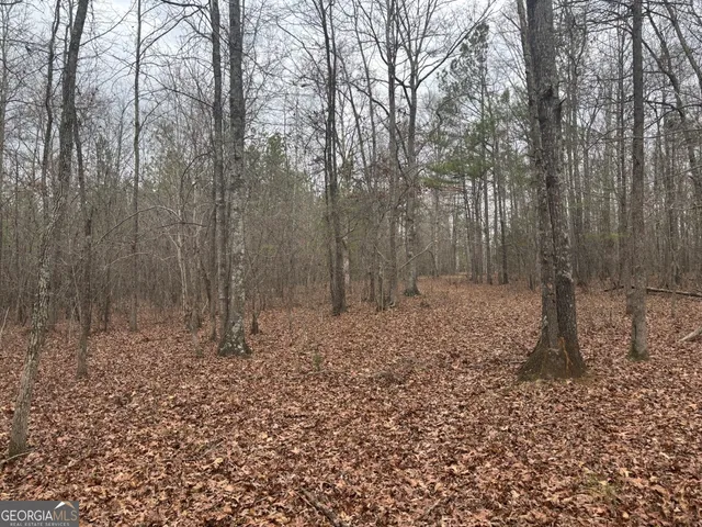 $995,000 | 850 Bethel Church Road Southeast, Silver Creek, GA 30173