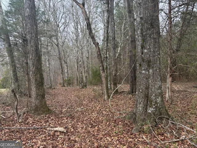 $995,000 | 850 Bethel Church Road Southeast, Silver Creek, GA 30173