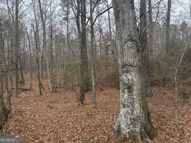 $995,000 | 850 Bethel Church Road Southeast, Silver Creek, GA 30173