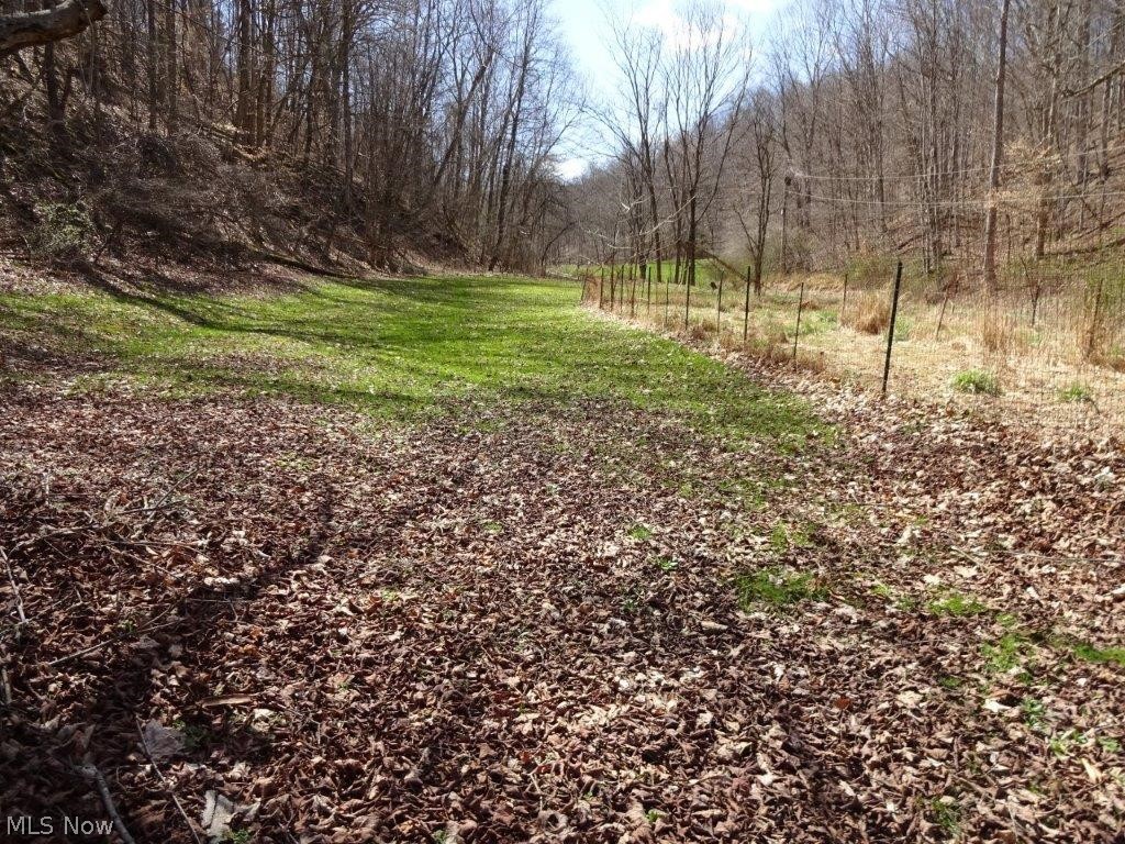 61 Milhoan Road Reedy, WV 25270 - Photo 8 of 26
