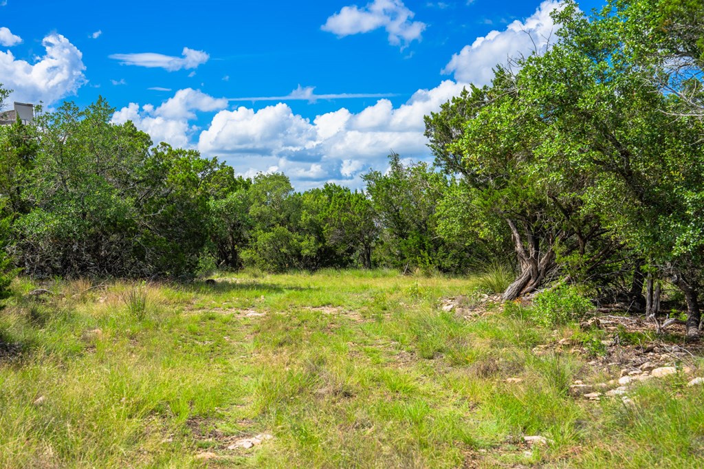 0 Jackson Ranch Rocksprings, TX 78880 - Photo 26 of 27