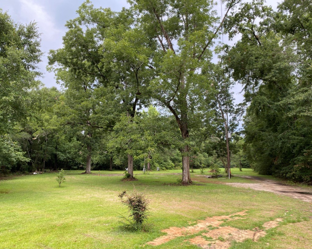 2242 Coot Adams Road Ashford, AL 36312 - Photo 8 of 39