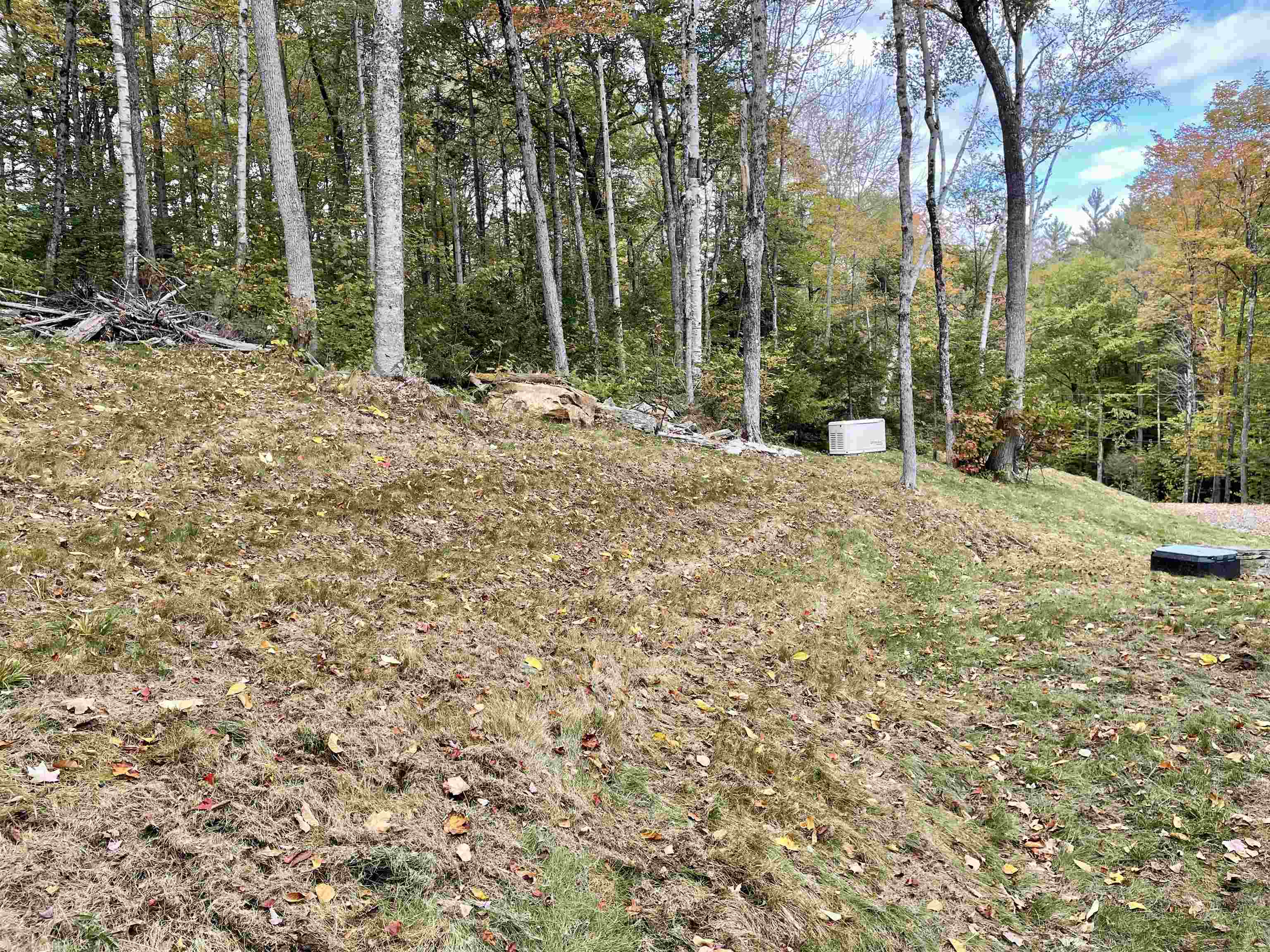 401 Miller Pond Road Grantham, NH 03753 - Photo 4 of 19