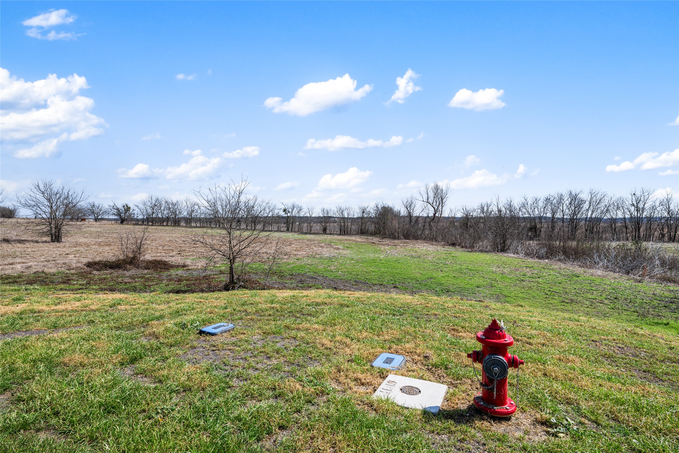 2558 East Fm 487 Jarrell, TX 76537 - Photo 18 of 29 a view of a garden with a lake