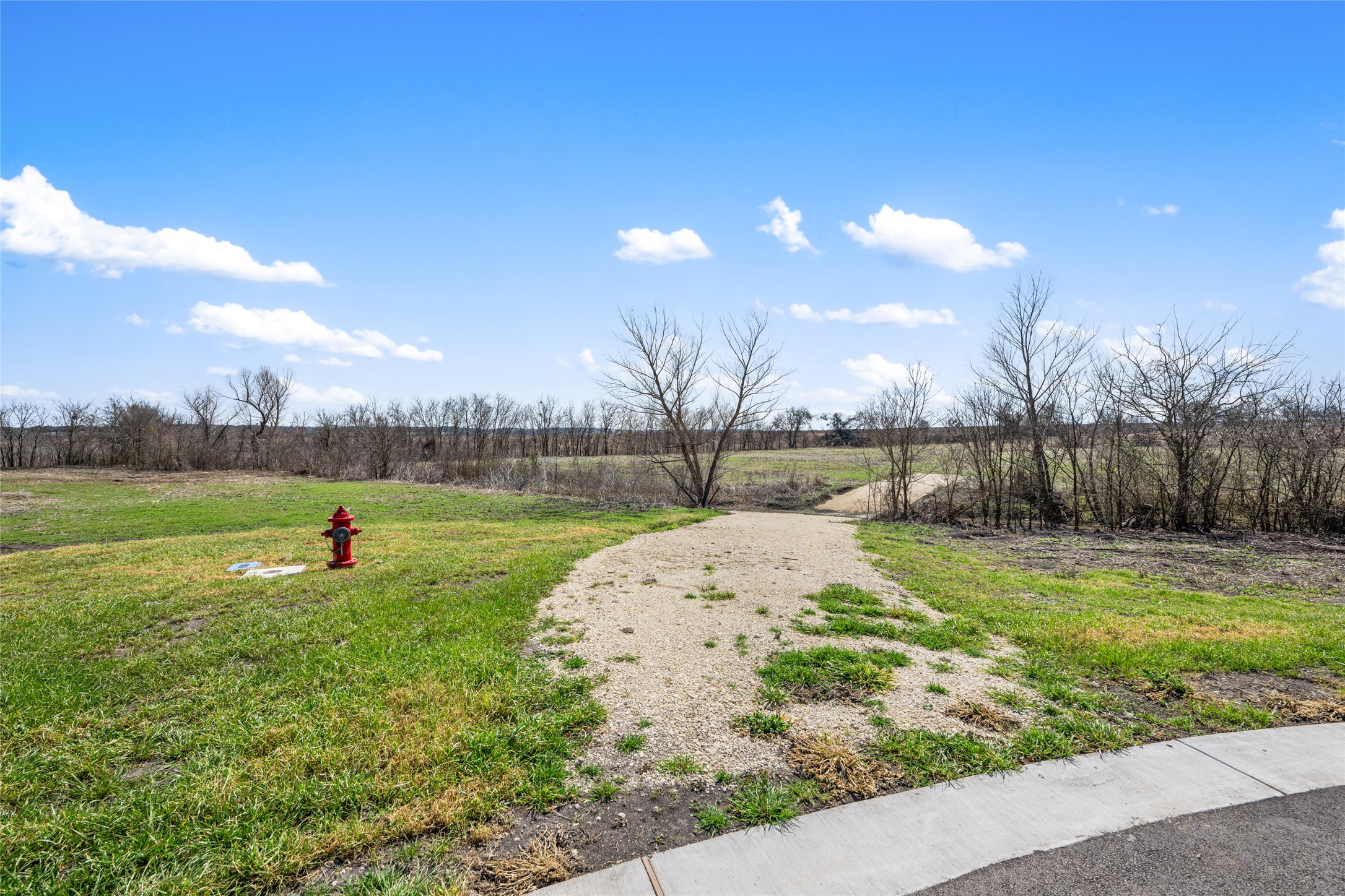 2558 East Fm 487 Jarrell, TX 76537 - Photo 19 of 29 a view of a garden with large trees