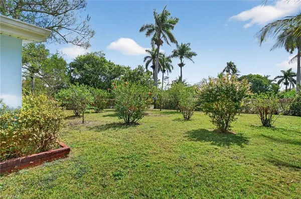 a big yard with lots of green space