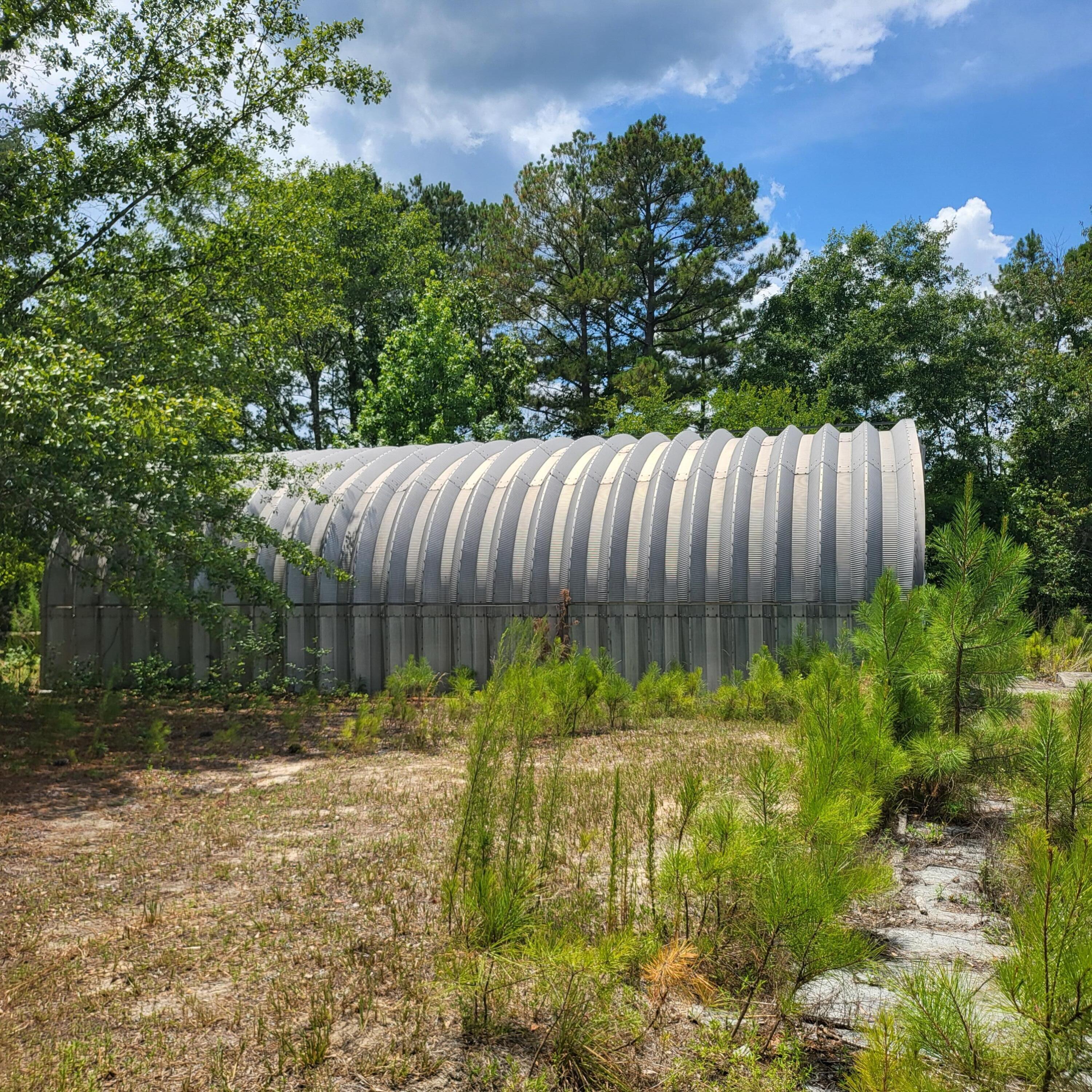 4091 Columbia Highway North Ridge Spring, SC 29129 - Photo 23 of 25 1000023430