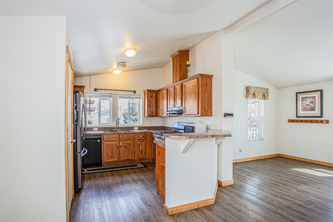 40 Maroon Peak Circle Dillon, CO 80435 - Photo 8 of 34