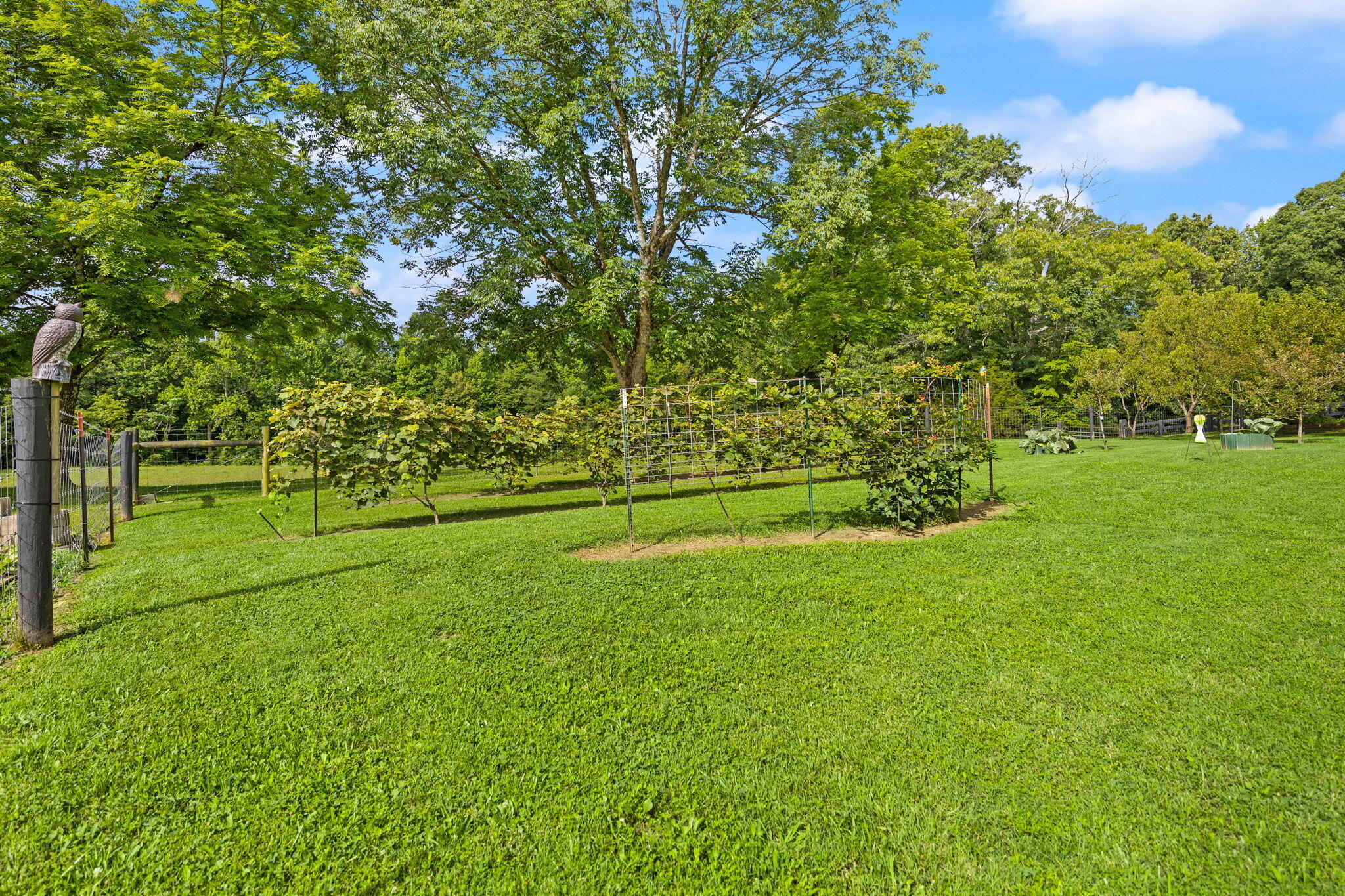 1310 Hopefull School Road Nancy, KY 42544 - Photo 83 of 84 38-web-or-mls-413A4855