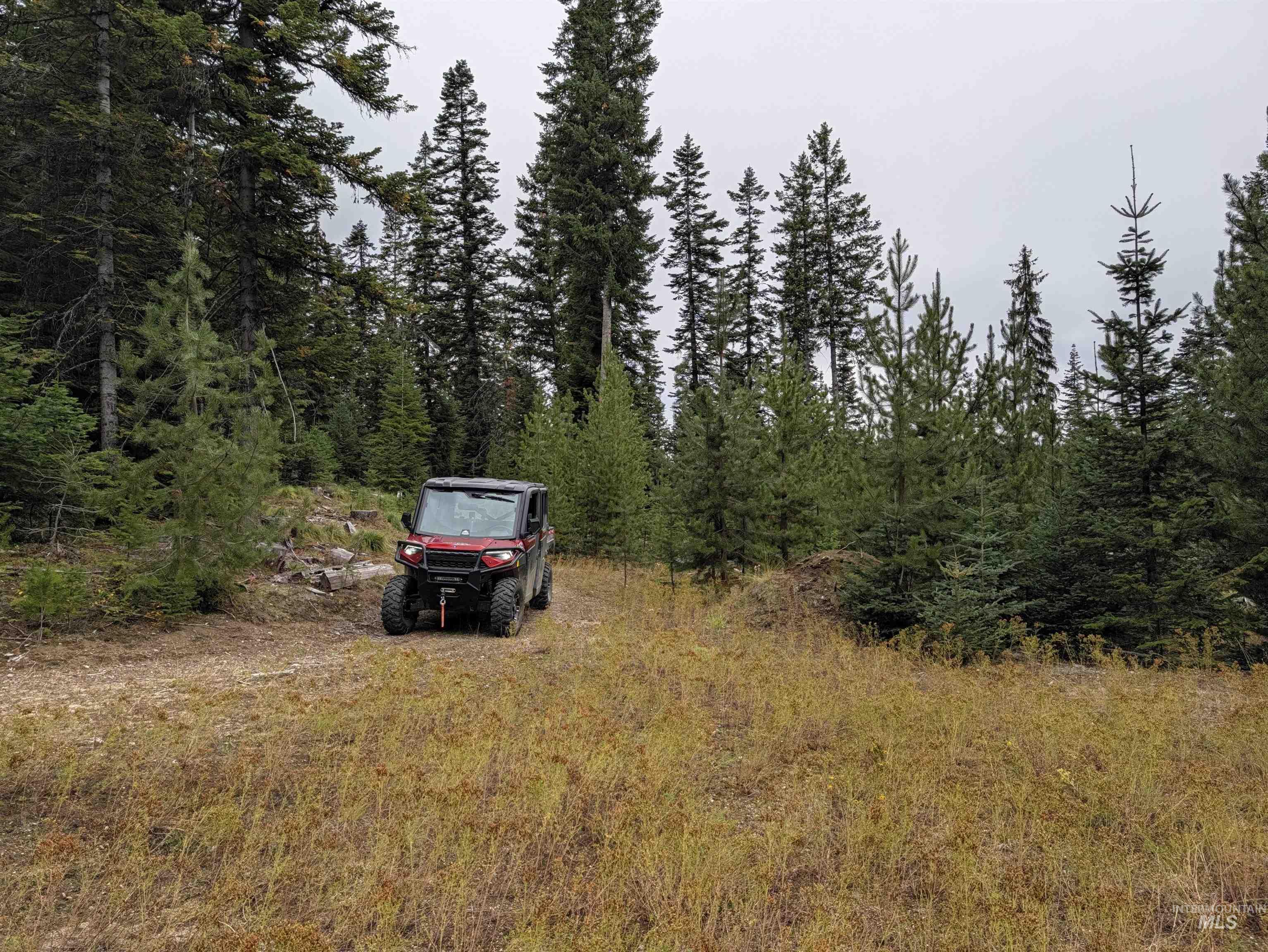 524 Rhett Creek Road Elk City, ID 83525 - Photo 13 of 23 Additional content