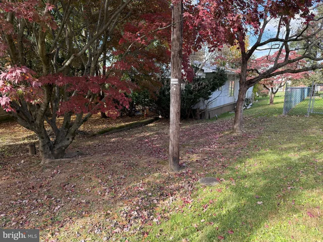 a view of a yard with trees