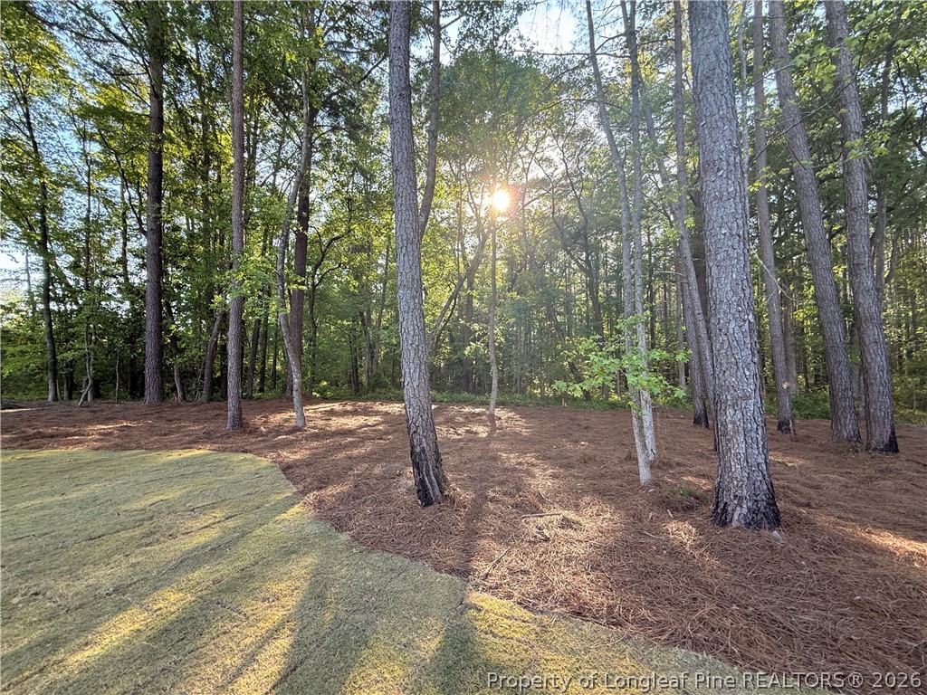 305 Elijah Way Vass, NC 28394 - Photo 18 of 19